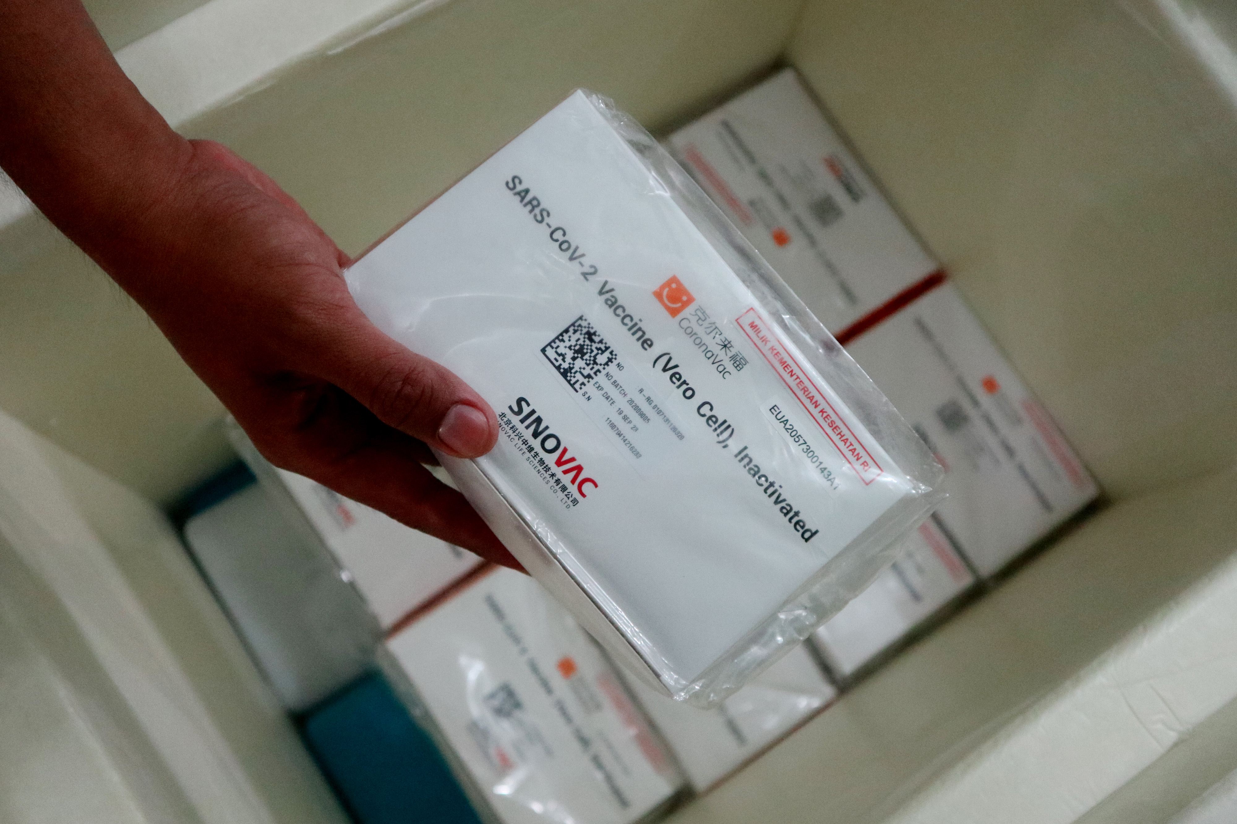 Peran Rantai Pendingin pada Program Vaksinasi dan Pembekuan Makanan