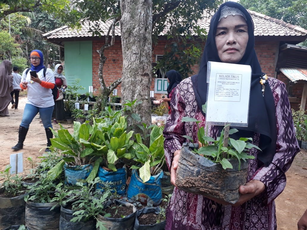 Manfaat Ekstrak Rimpang Keladi Tikus dan Daun Sirsak dalam Thyponisix