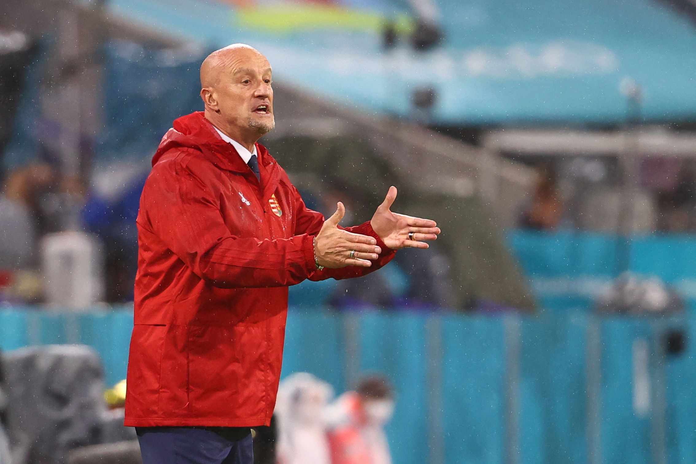 Pelatih timnas Hongaria Marco Rossi