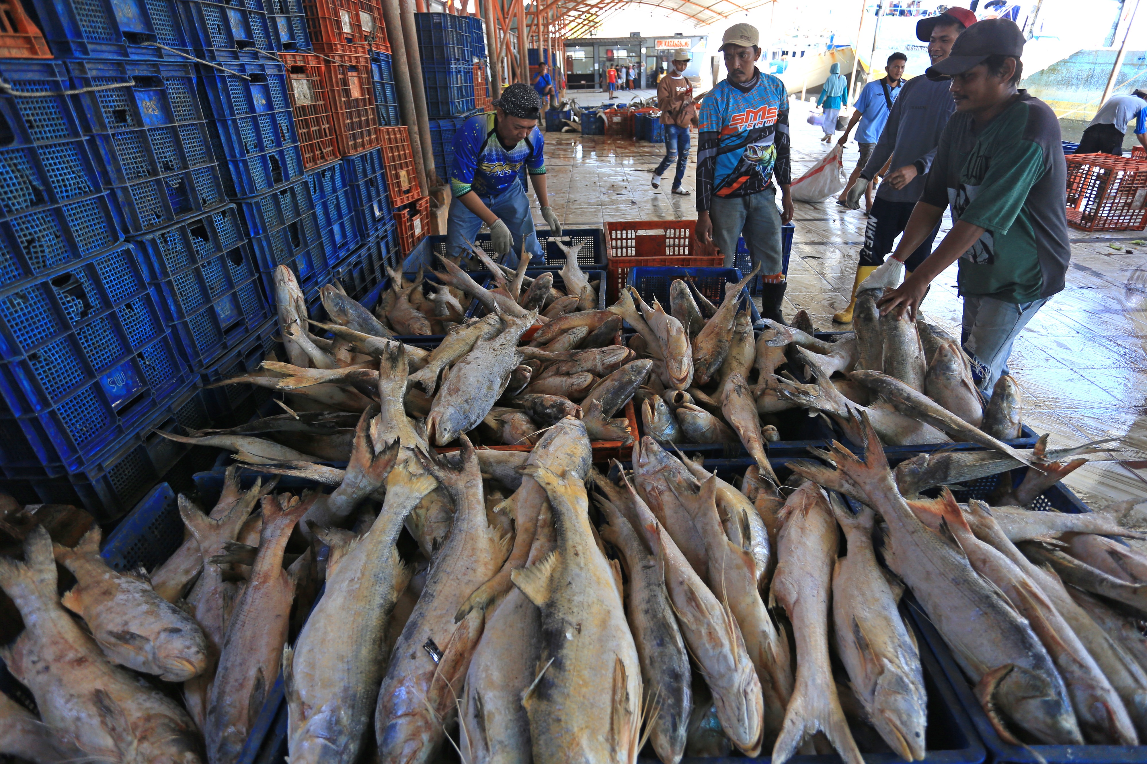Nelayan melakukan bongkar muat ikan di Pelabuhan Karangsong, Indramayu