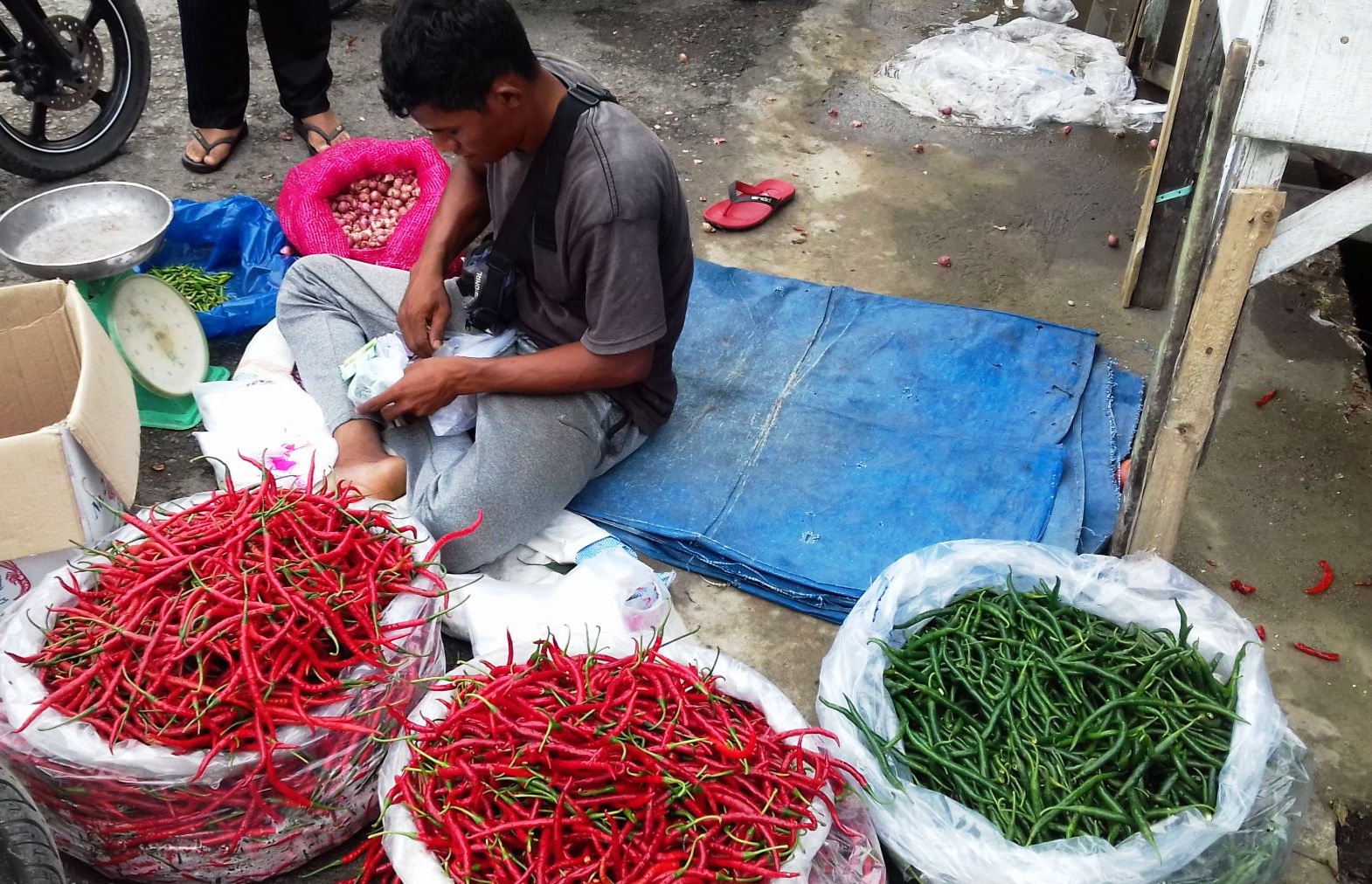 Harga cabai rawit mengalami penurunan di Bali.