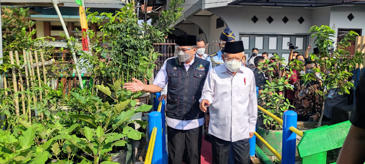 Wapres Ma'ruf Amin meninjau urban farming di Kota Bandung