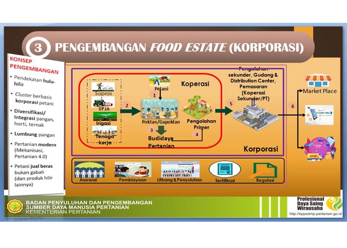 Grafis pengembangan food estate