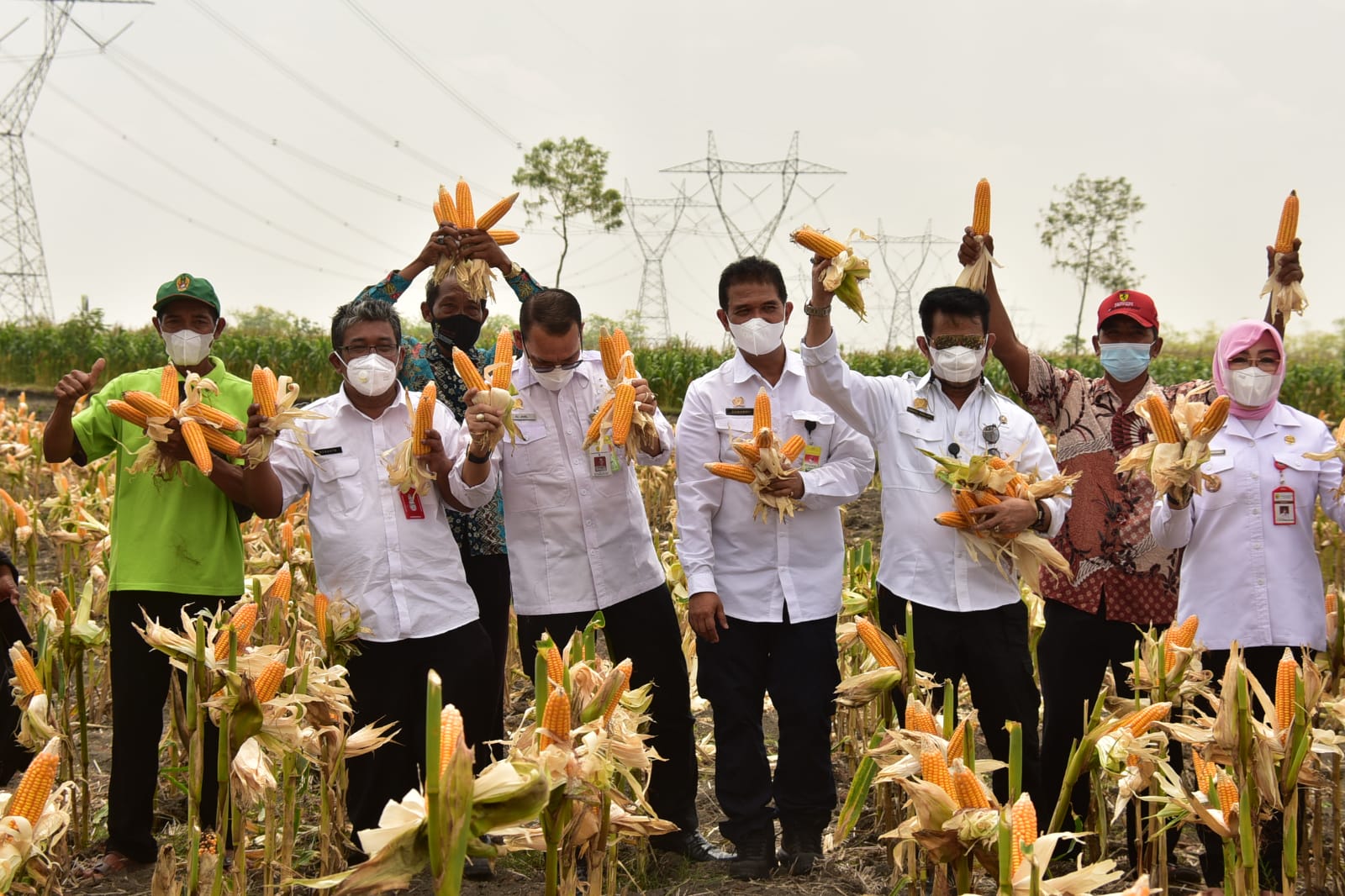 Menteri Pertanian Syahrul Yasin Limpo (ketiga dari kanan) melakukan panen raya jagung di Kabupaten Grobogan, Jawa Tengah.  