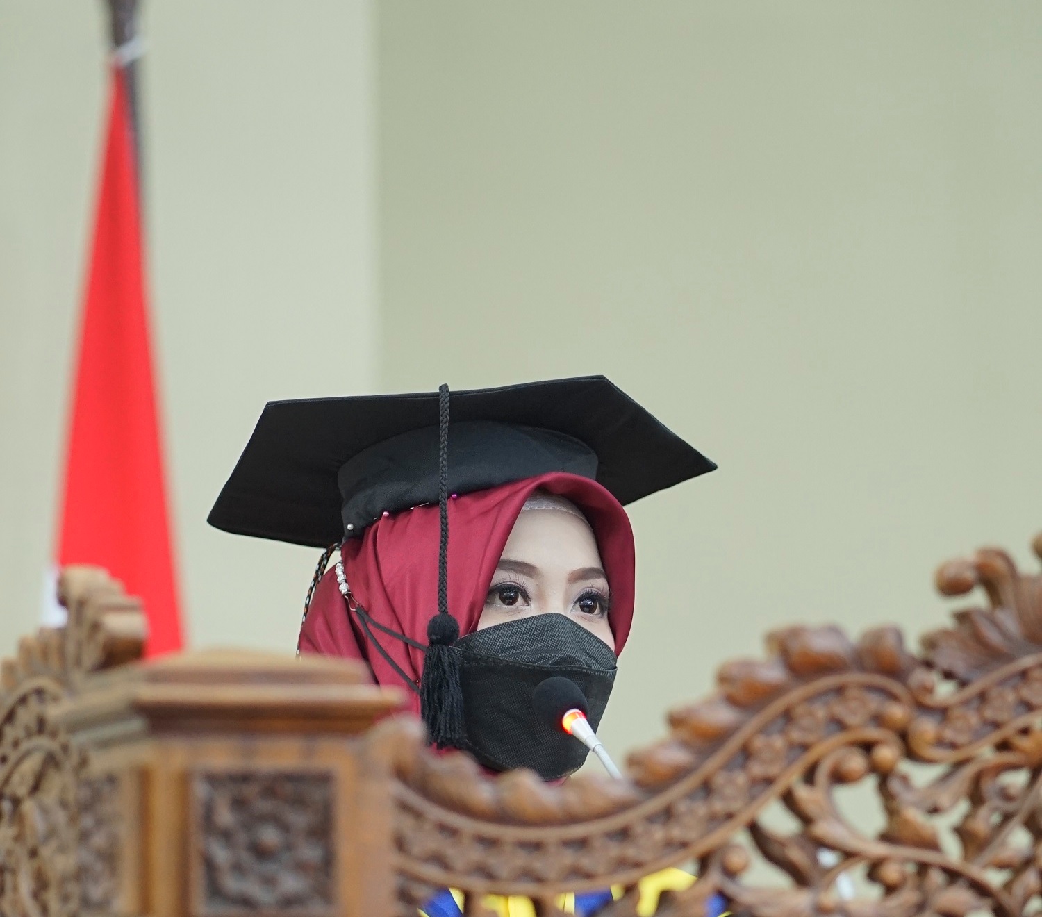 Ilustrasi: wisudawan