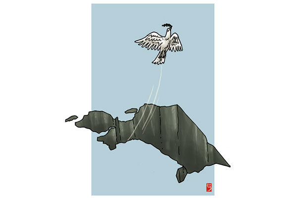 Perkuat Vokasi untuk Dorong Perekonomian di Papua