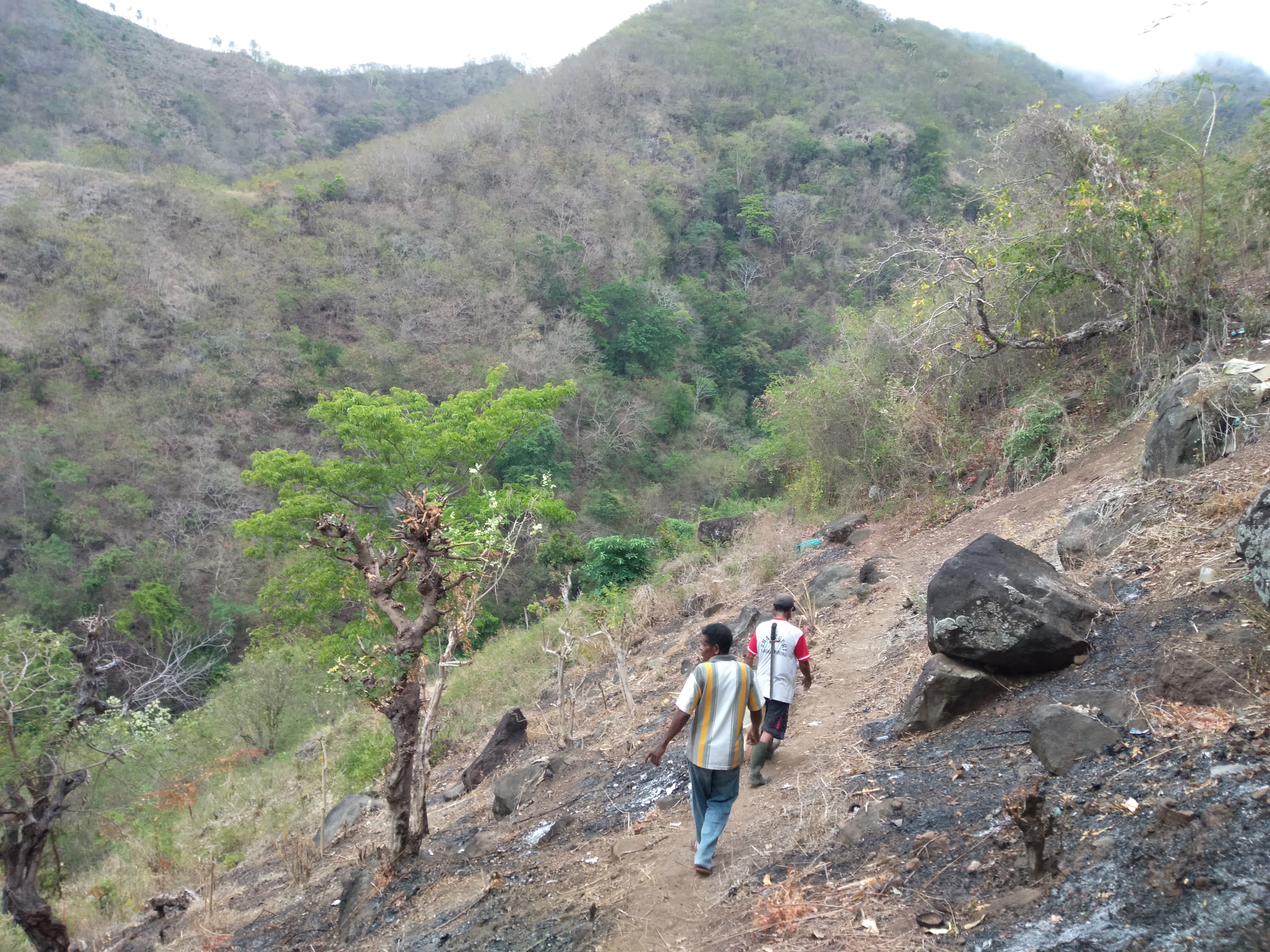 Gripet dan Idan Ataili, Urat Nadi Ekonomi Desa yang Luput Perhatian Pemda Lembata