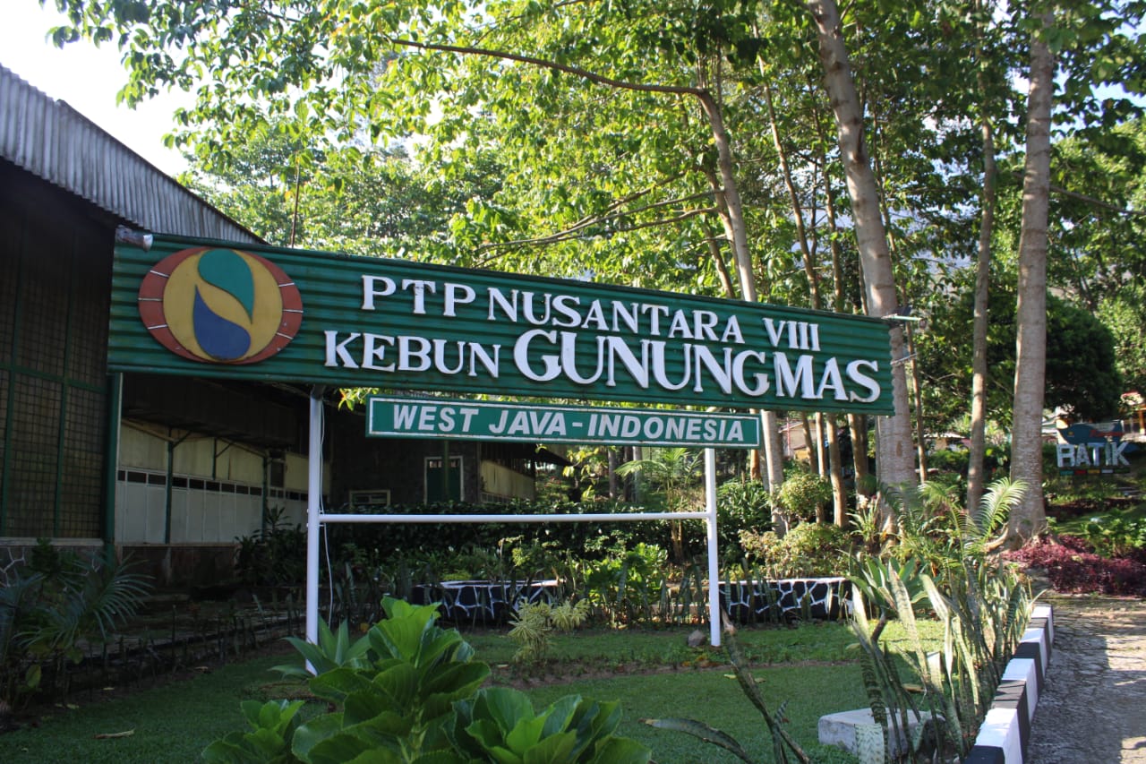 Merayakan Ulang Tahun sembari Berwisata di Gunung Mas Puncak
