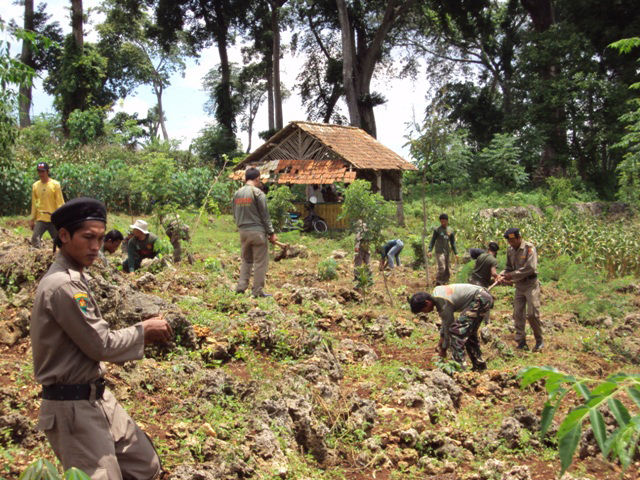 Gerakan penanaman pohon terus digencarkan di Tuban, Jawa Timur