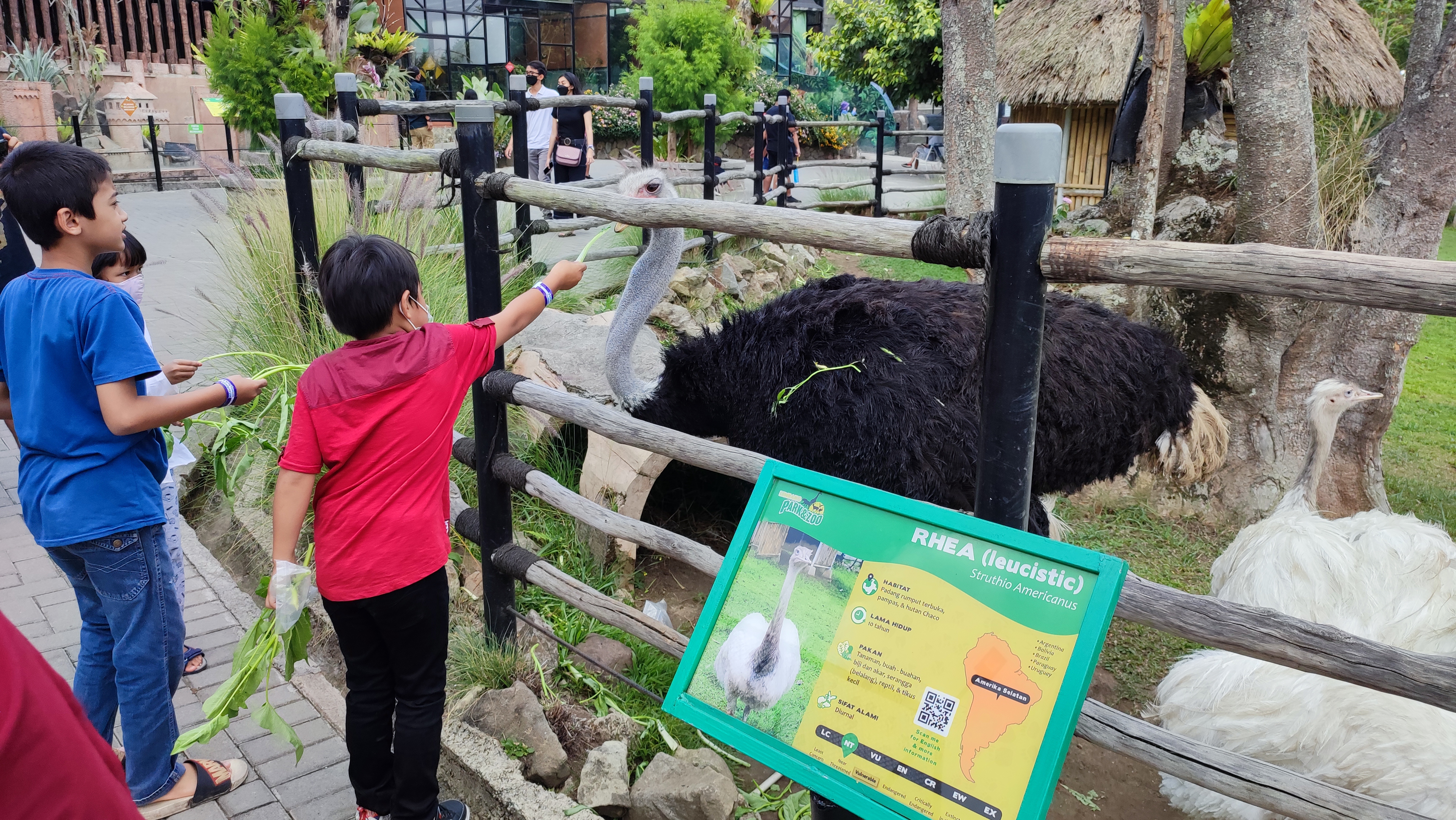Pengunjung berpose dengan latar belakang koleksi macan yang terdapat di kawasan wisata Lembang Park and Zoo, Senin (18/10).