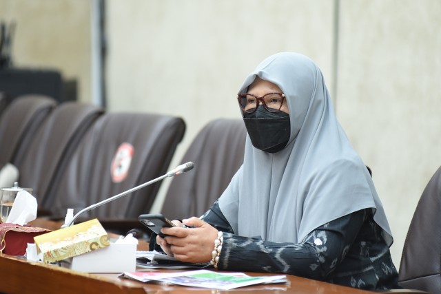 Anggota Komisi VI DPR RI Nevi Zuairina. 