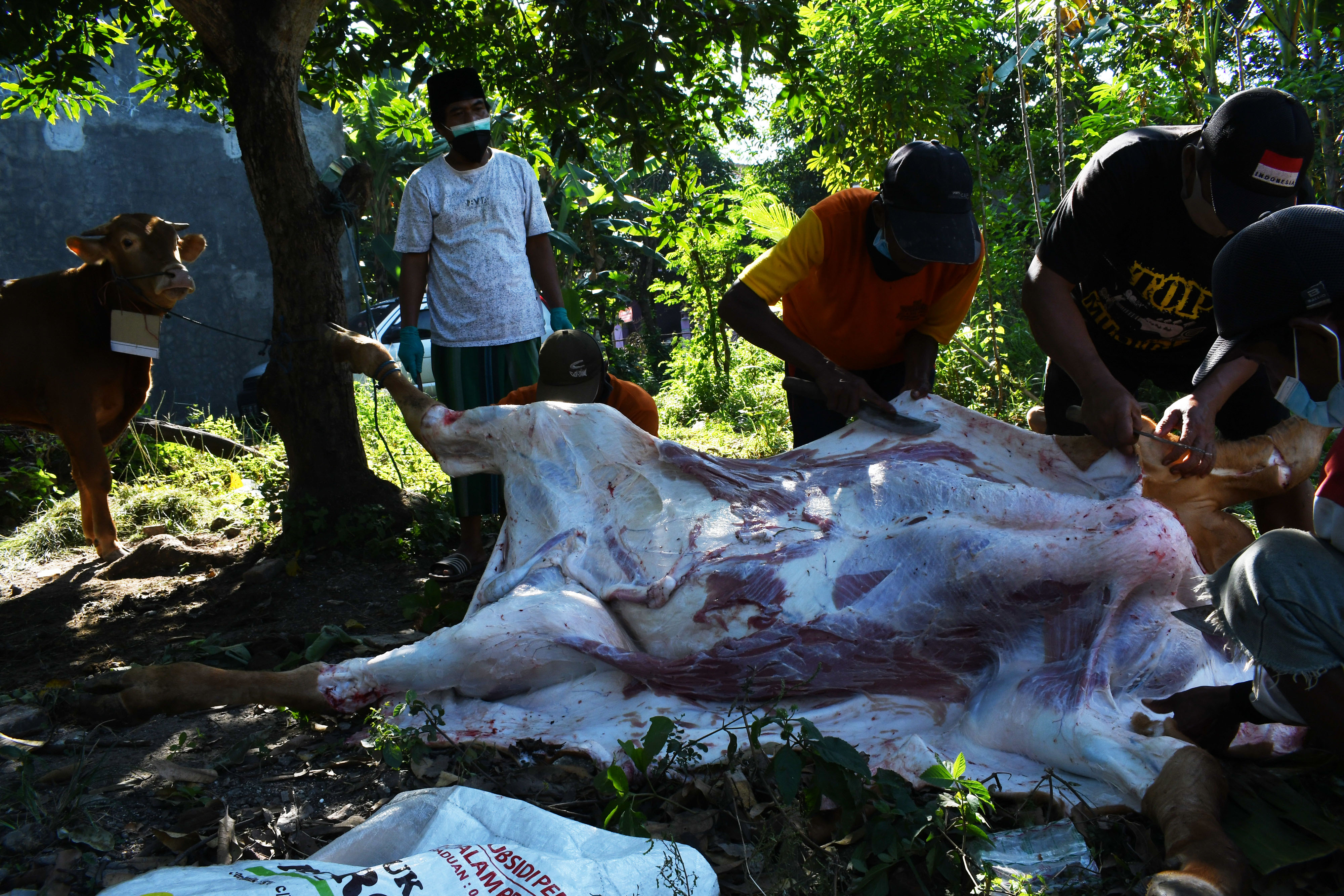 Suasana penyembelihan hewan kurban di Kota Madiun, Jawa Timur, Selasa (20/7/2021)