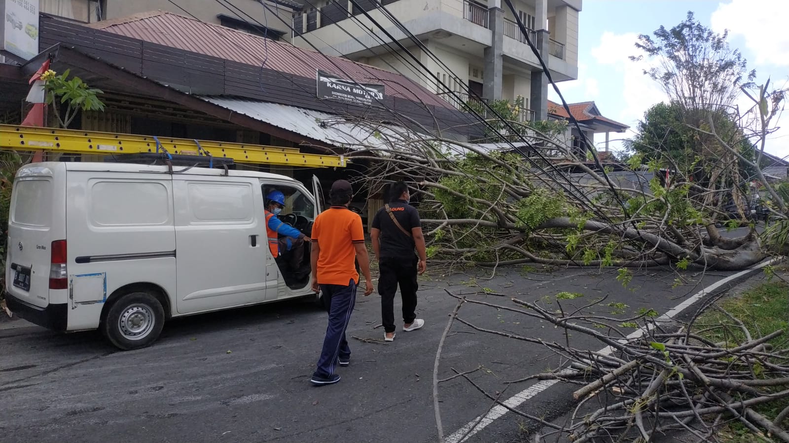 Pohon tumbang tertiup angin kecang timpa showroom dan tutup jalan di Kerobokan, Badung, Bali.