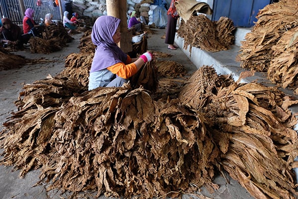 INDEF: DKI Jakarta Perlu Tinjau Ulang Peredaran Produk Industri Hasil Tembakau