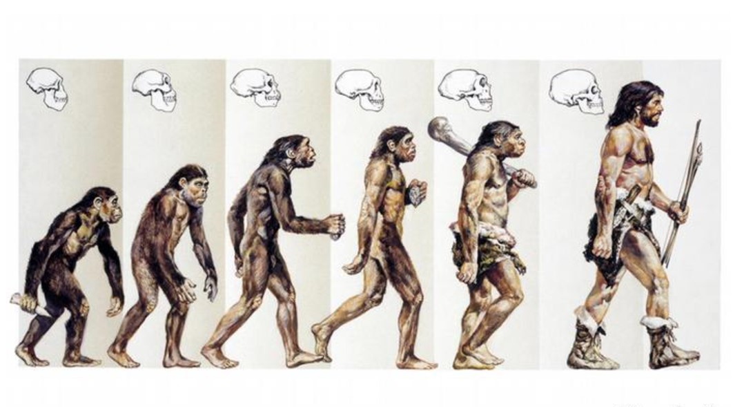 Ilustrasi evolusi
