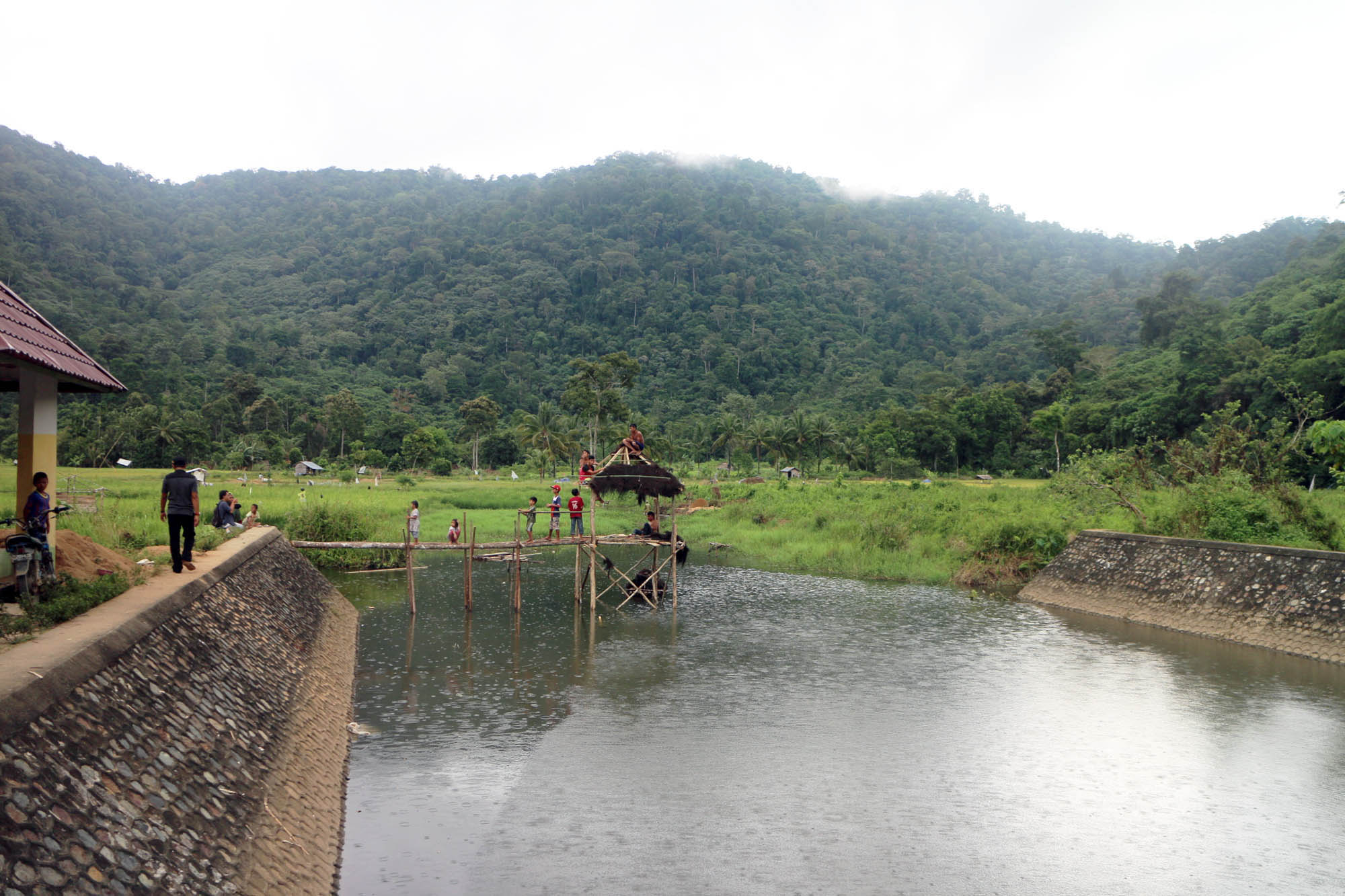 GAIA Vegan Beauty turut mendukung kelestarian hutan di kawasan Taman Nasional Gunung Palung, Kayong Utara dan Ketapang, Kalimantan Barat.