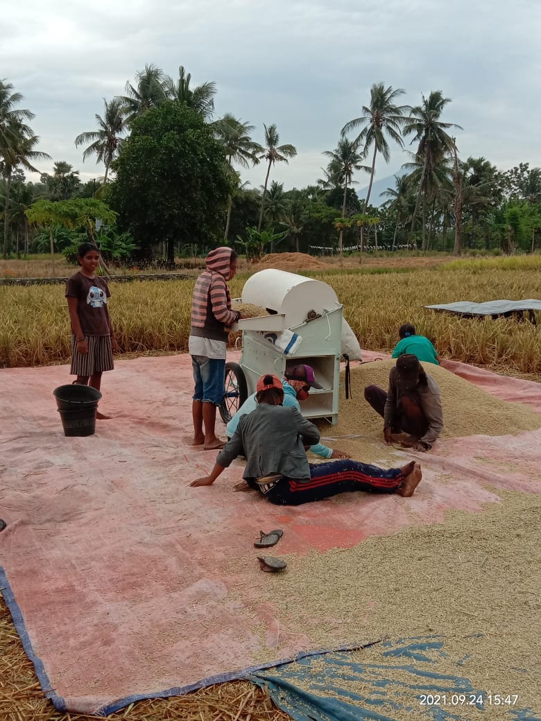 Petani di  daerah irigasi Waikomo, Kelurahan Lewoleba Barat, Kecamatan Nubatukan, Kabupaten Lembata, Nusa Tenggara Timur,