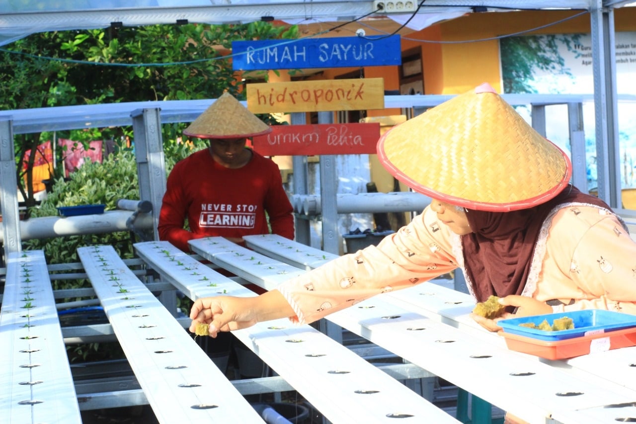 Pemberdayaan masyarakat melalui program Pelita.