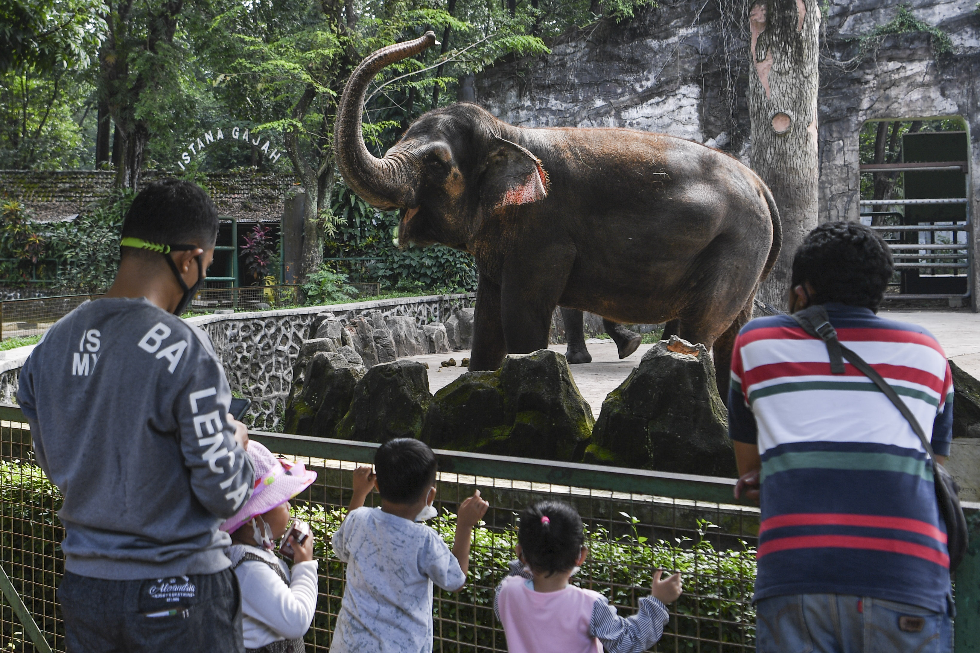 Ragunan Dibuka dengan Terapkan Ganjil Genap Kendaraan Pengunjung