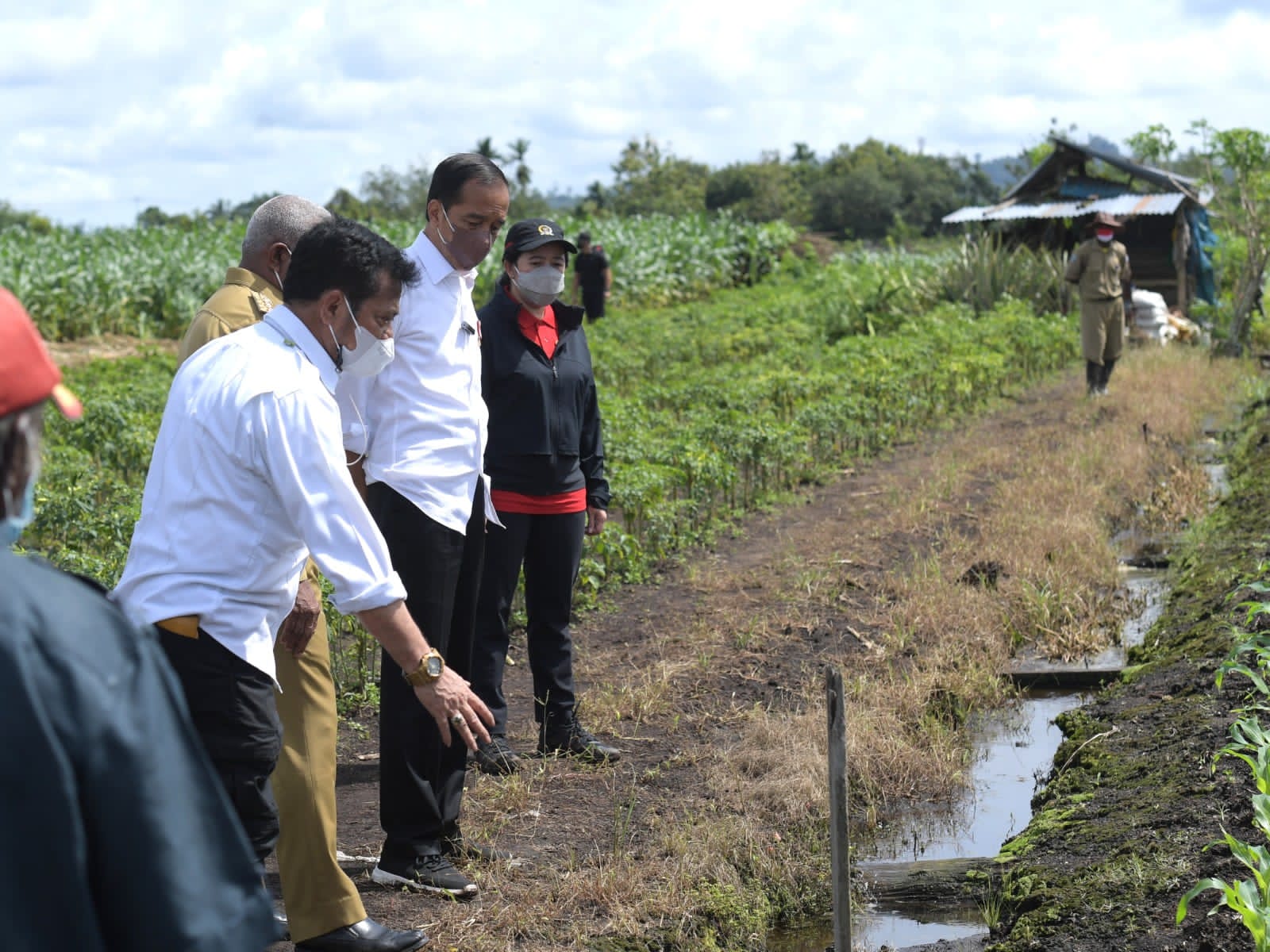 Presiden Jokowi, Mentan Syahrul Yasin Limpo, dan Ketua DPR Puan Maharani melakukan kunjungan ke Sorong, Papua Barat.  