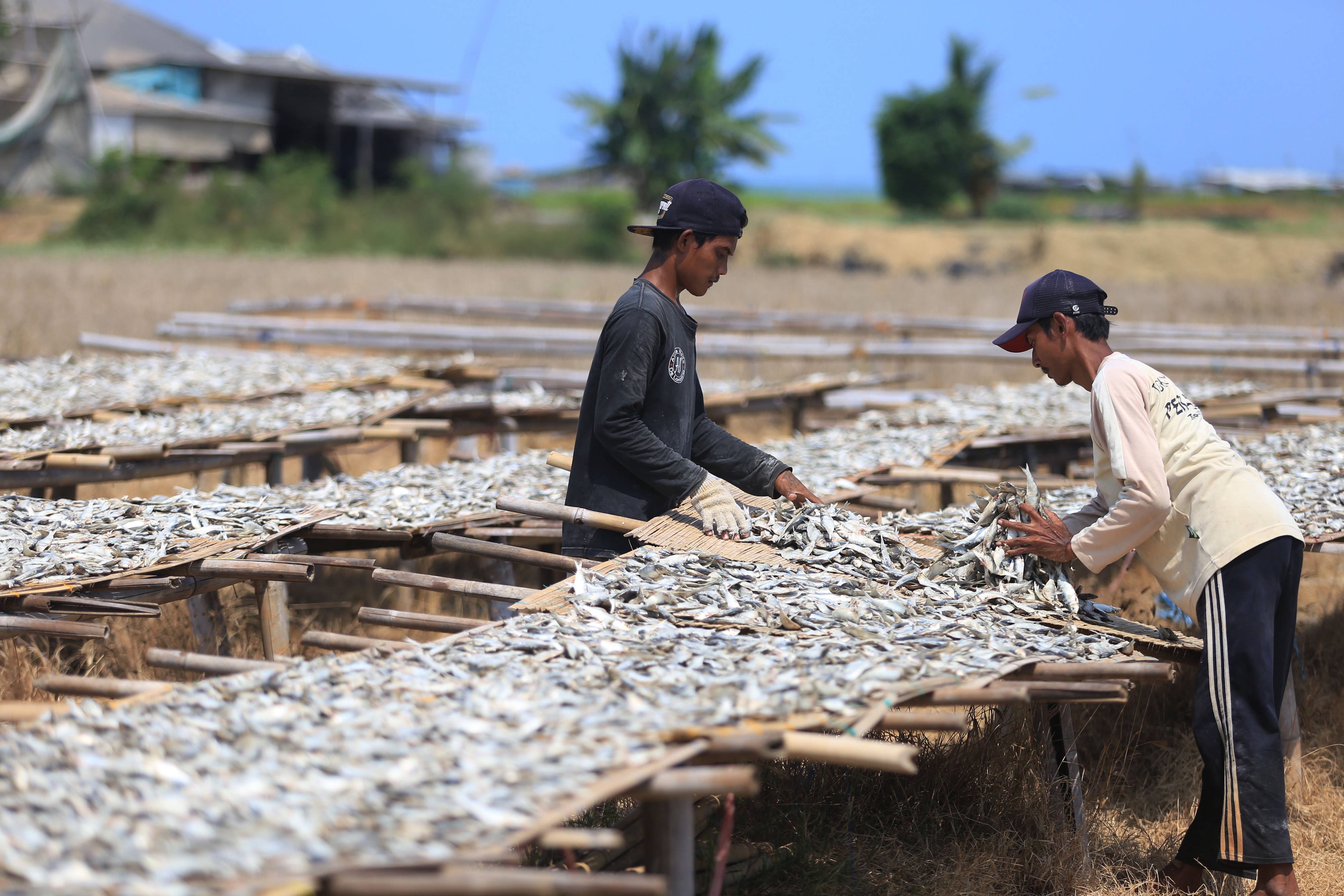 Tenaga Pendamping KKP Dekatkan UMKM dengan Permodalan