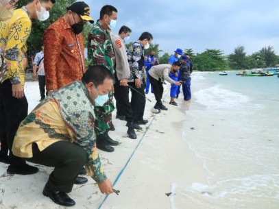 Kedua gubernur berharap pelepaslliaran tukik menjadi momentum untuk lebih mempererat hubungan kerja sama kedua provinsi.