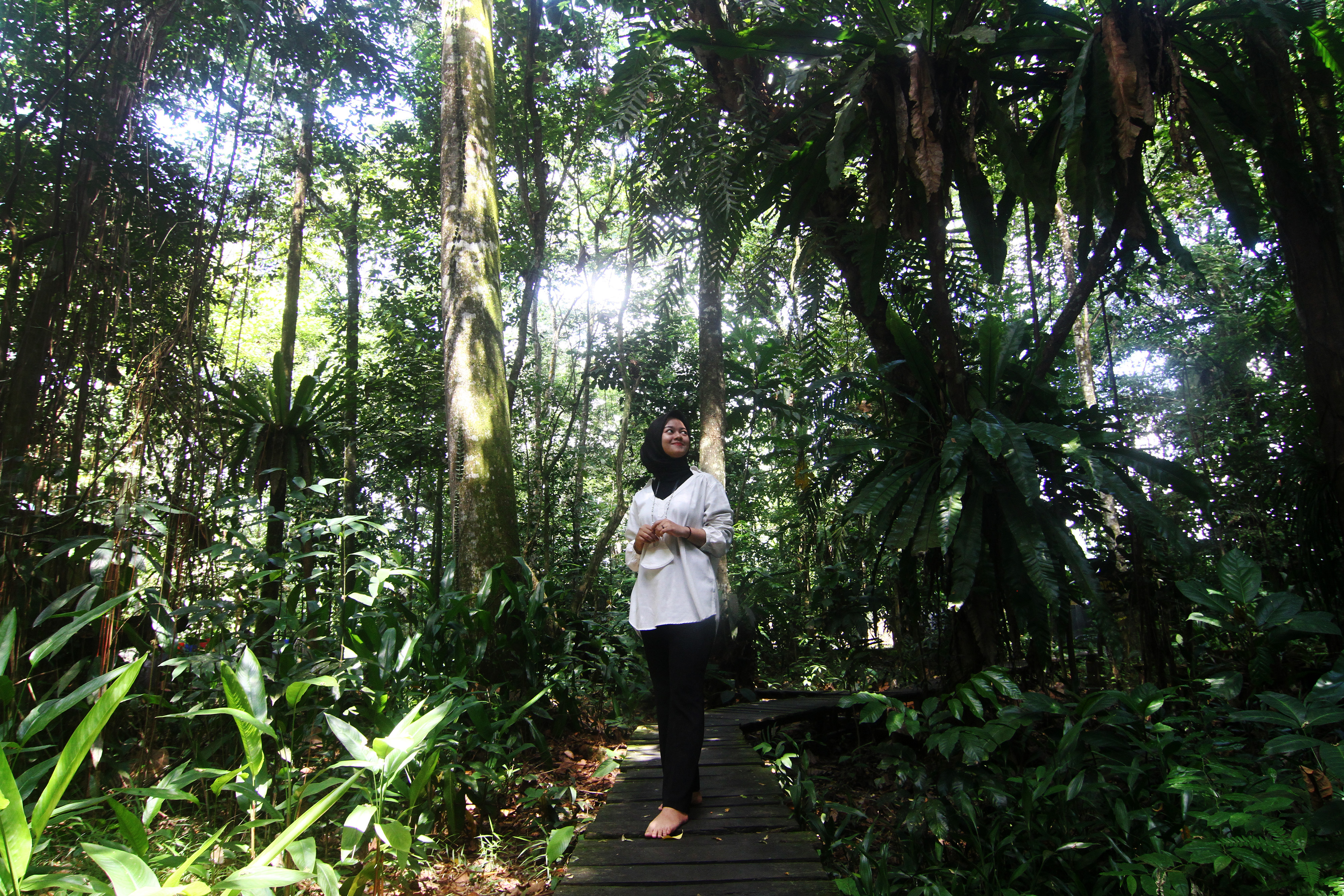 Pengunjung menyaksikan pemandangan miniatur hutan tropis Arboretum Sylva Universitas Tanjungpura di Pontianak, Kalbar, Selasa (8/6/2021)