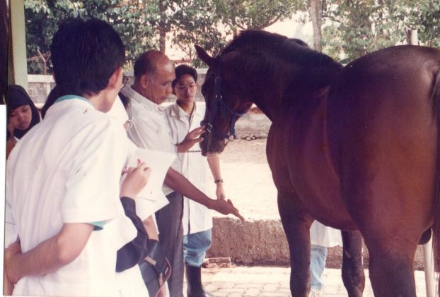 Mendiang drh Wirasmono Soekotjo saat memberikan perkuliahan mengenai kuda.