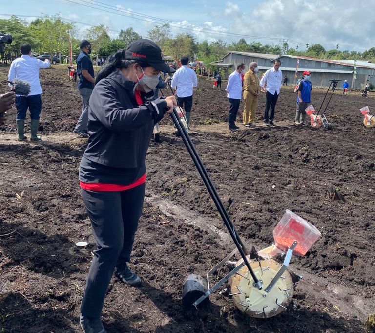 Ketua DPR RI menaman bibit jagung memakai alat tanam khusus di Kelurahan Klamesen, Distrik Mariat, Kabupaten Sorong, Papua, Senin (4/10).