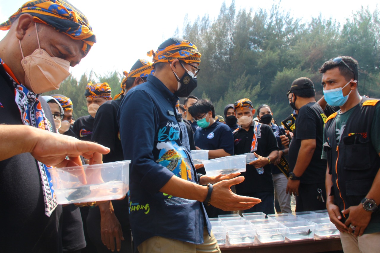 Saat kunjungan ke Desa Wisata Serang, Kecamatan Panggungrejo, Blitar, Jatim, Menparekraf Sandiaga Uno berkesempatan melepas tukik ke laut. 