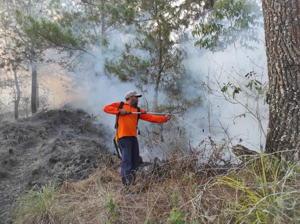 Kebakaran Lahan dan Semak Gunung Batur Bangli Berhasil Dipadamkan