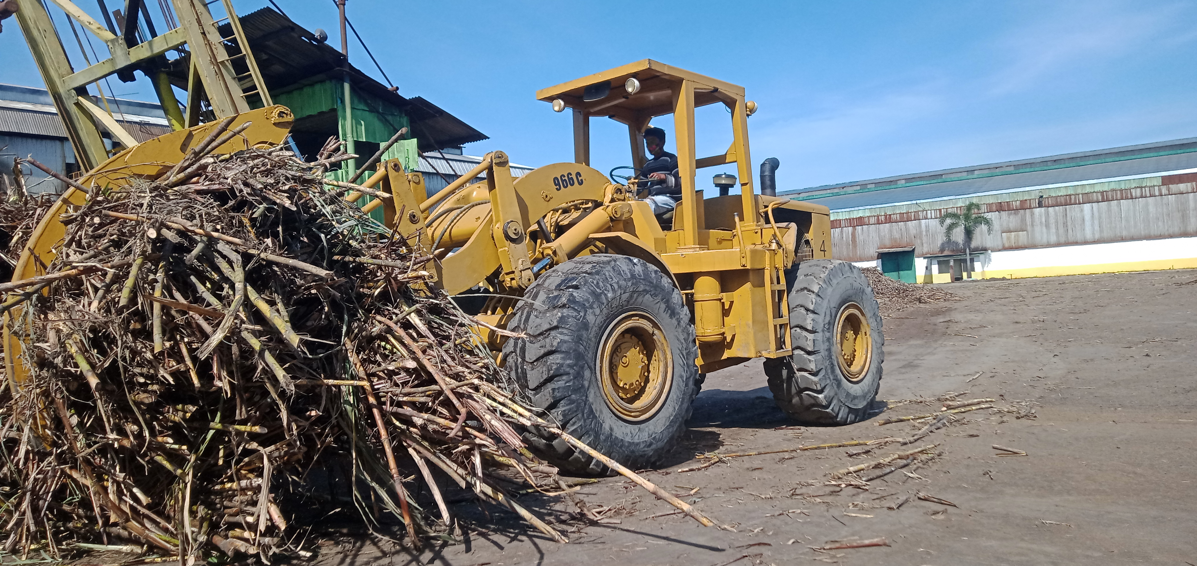 Alat berat mengangkut tebu untuk digiling 