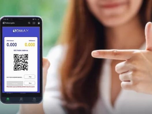 Defi Amm-Dex sebagai aplikasi keuangan terdesentralisasi (DeFi) yang berjalan pada protokol BSC dan dikategorikan sebagai Amm Dex.