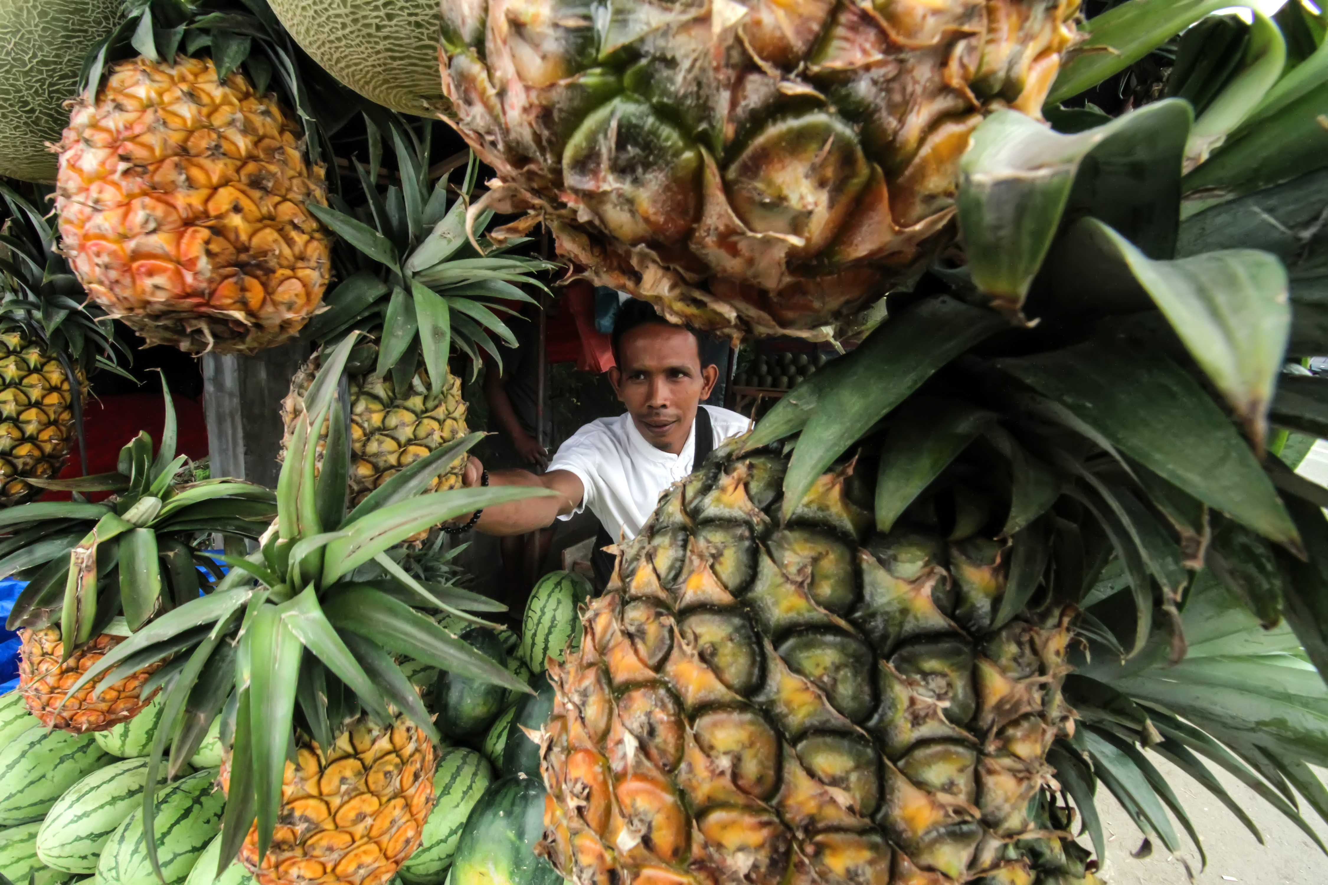 Ilustrasi buah nanas