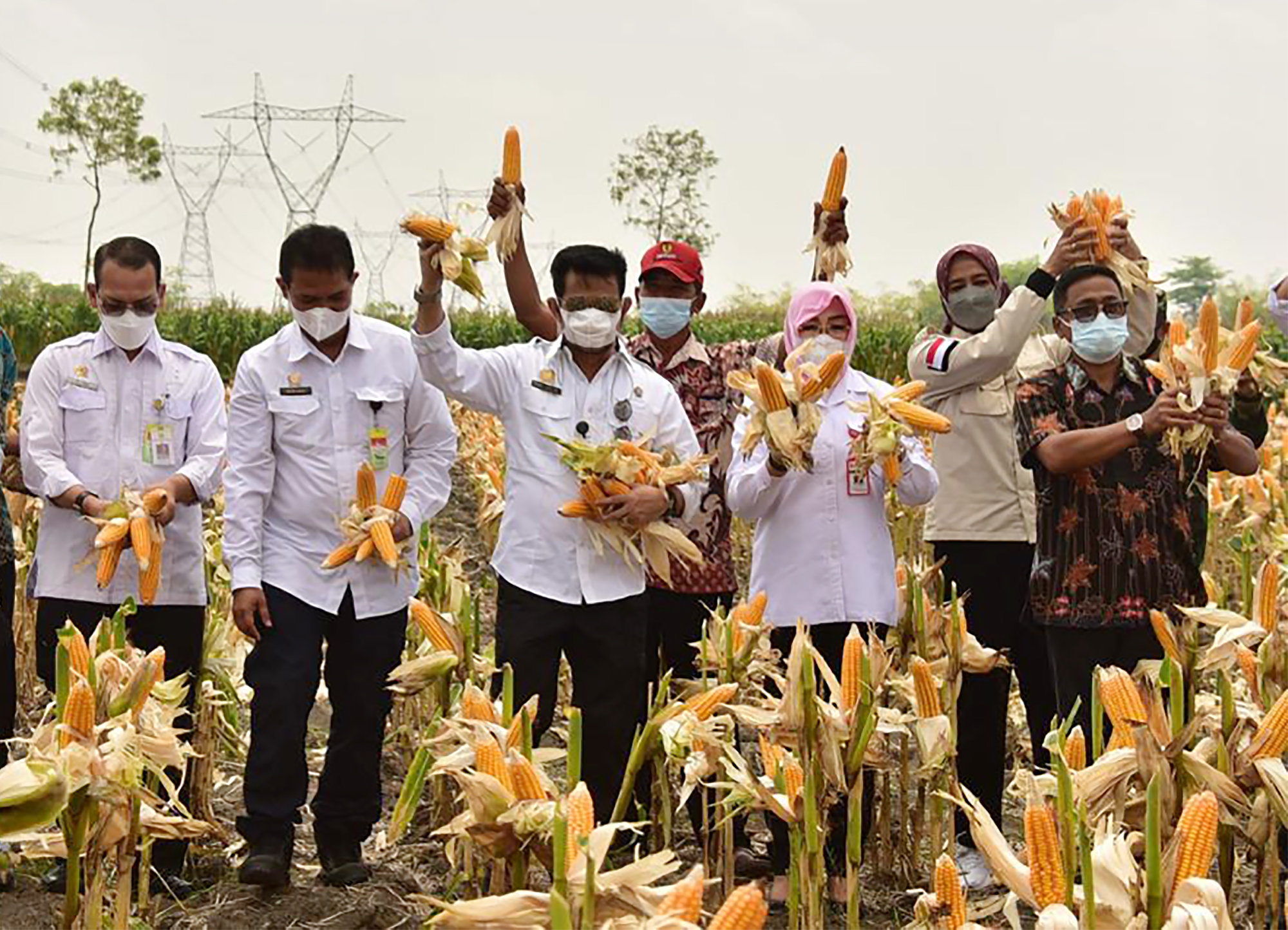 Mentan SYL saat panen jagung di Grobogan.