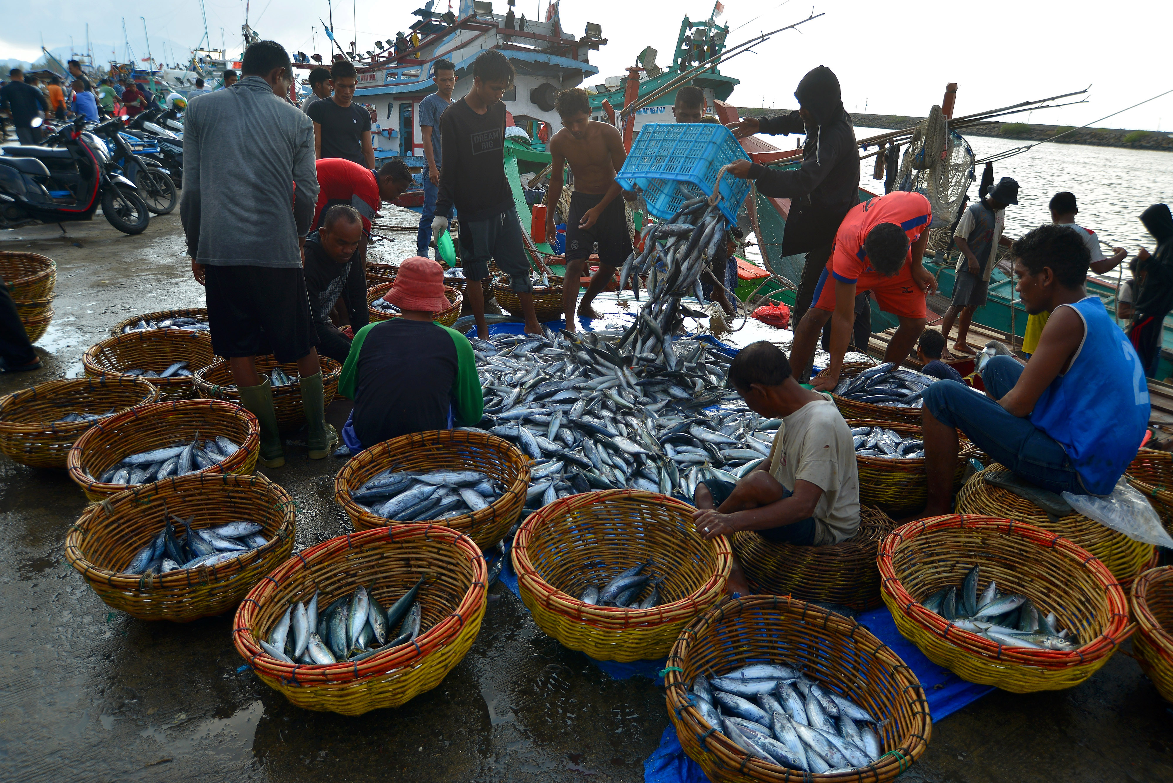 Nelayan menyortir ikan sesuai jenisnya di Pelabuhan Perikanan Samudera Koetaraja, Banda Aceh.