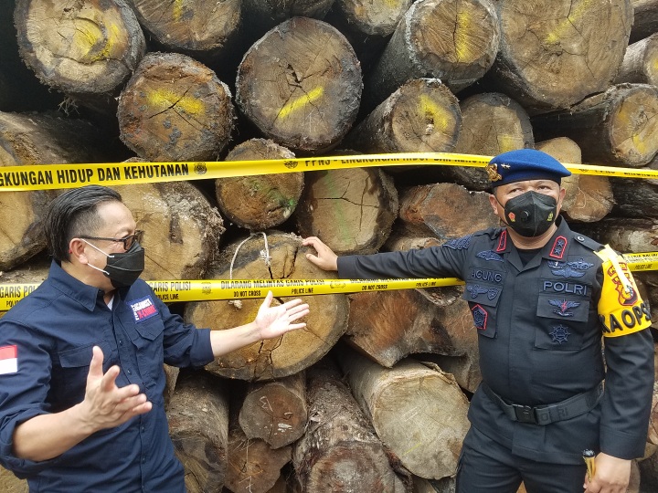 Ilustrasi penegakan kayu ilegal oleh Gakkum KLHK