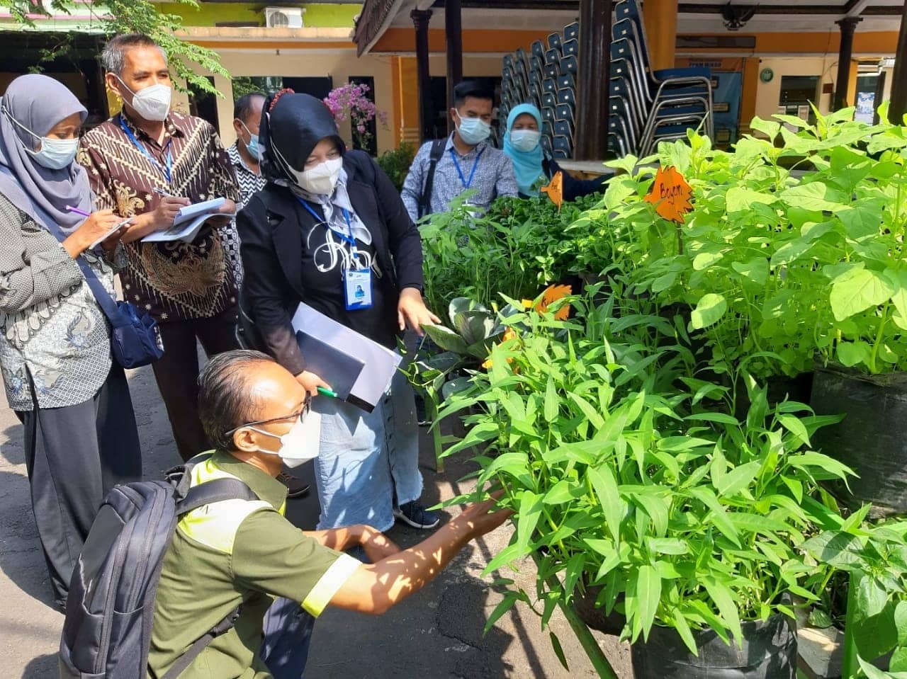 Urban farming di Kota Malang, Jawa Timur. 