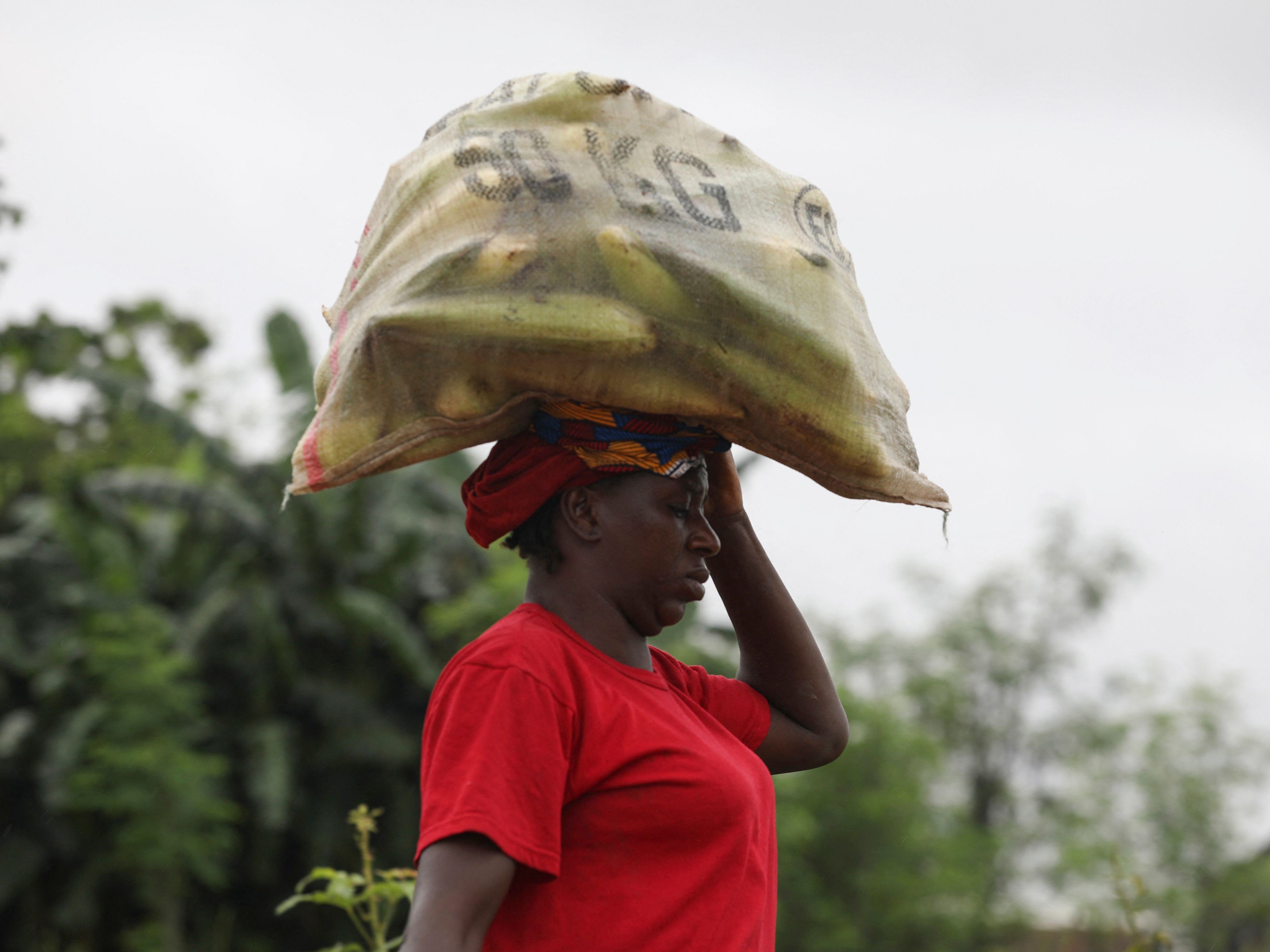 Seorang wanita membawa sekantong jagung di sebuah pertanian di Northbank, Negara Bagian Benue, Nigeria.
