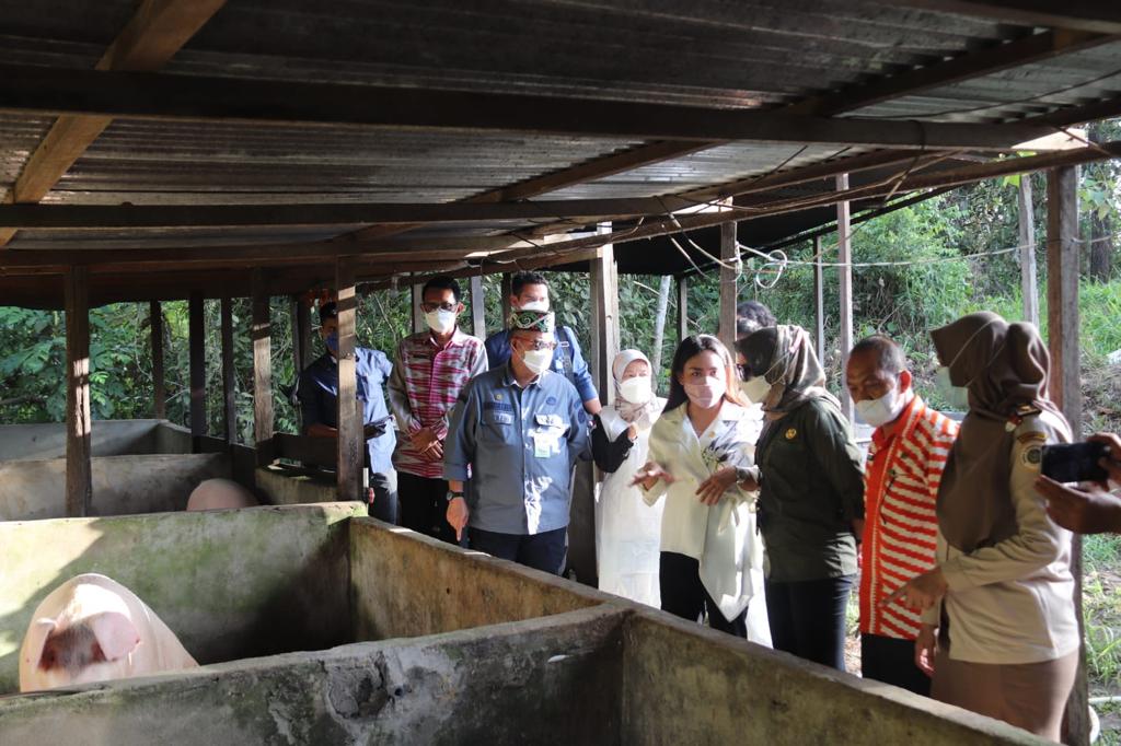Dirjen PKH, Kementan, Nasrullah, melakukan kunjungan kerjanya ke Provinsi Kalimantan Barat.