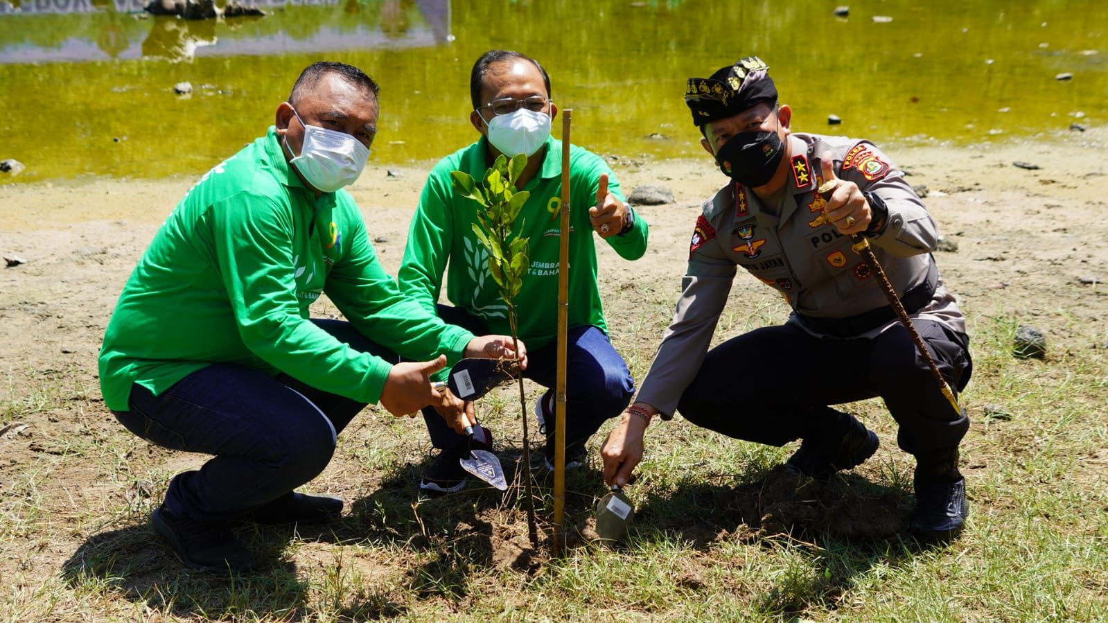Gubernur Bali Wayan Koster bersama Kapolda Bali Irjen Pol Putu Jayane Danu Putra dan Bupati Jembrana  I Nengah Tamba, canangkan zon mangrove
