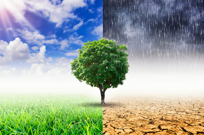 Lawan Perubahan Iklim, Indonesia Butuh Rp3.500 Triliun