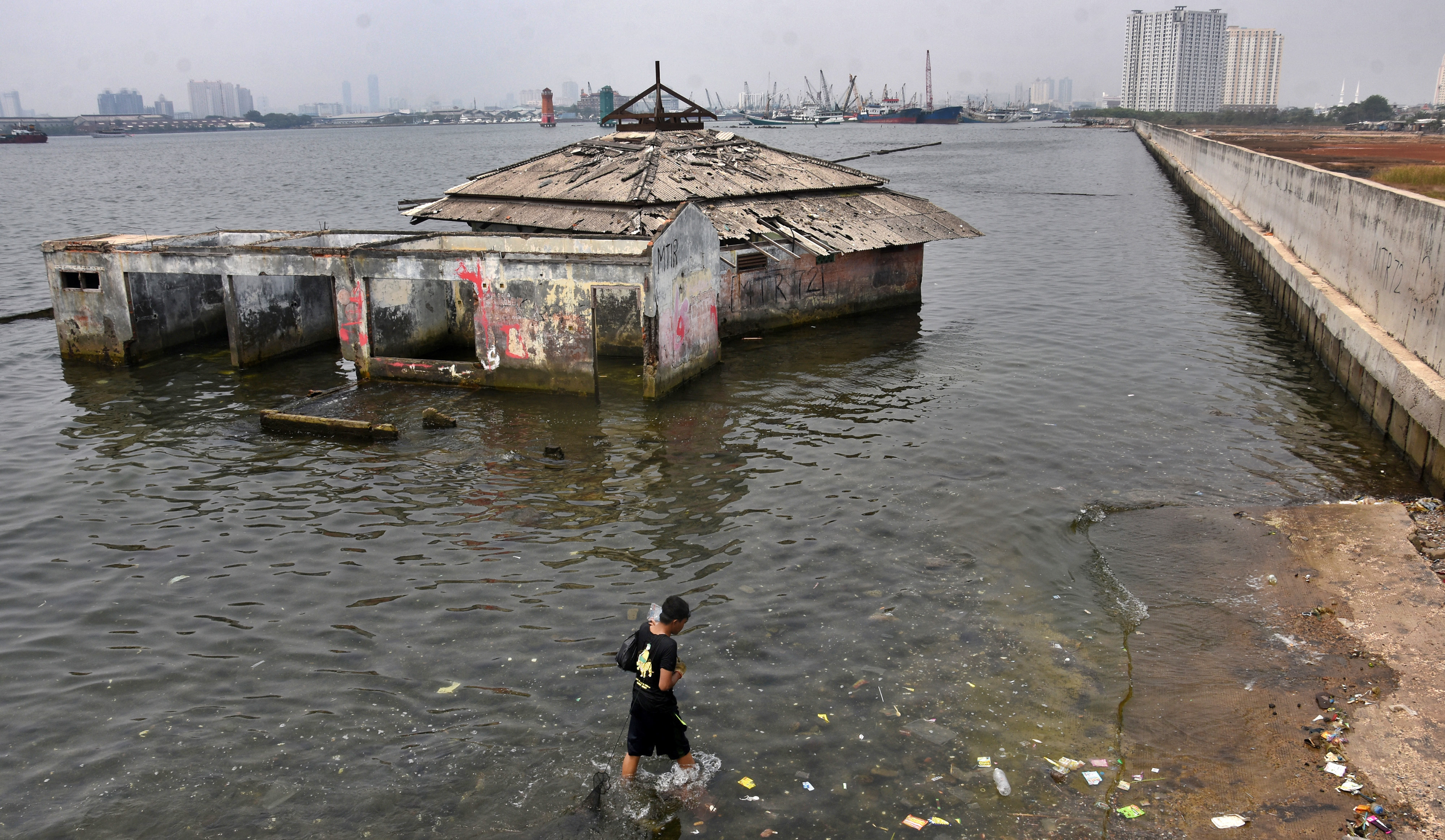 Seorang warga mencari kerang di dekat masjid yang terendam air laut di Muara Baru, Jakarta.