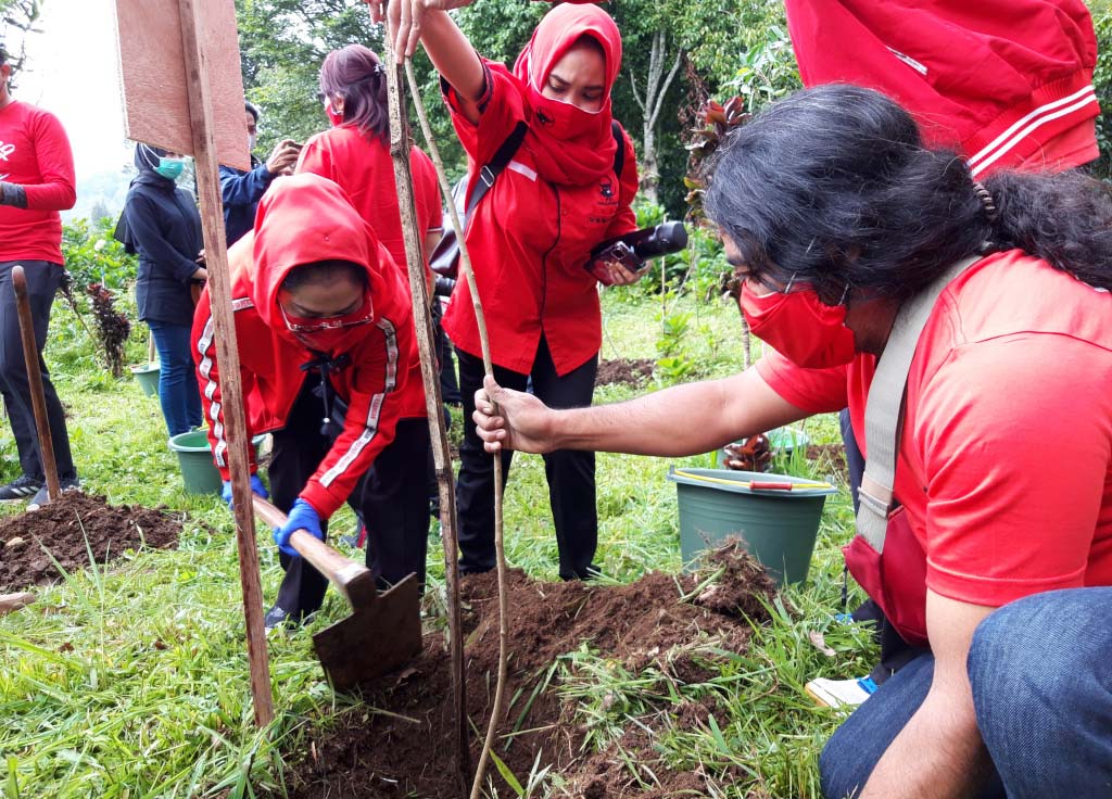 Penanaman pohon dilakukan masyarakat di Batu, Jawa Timur