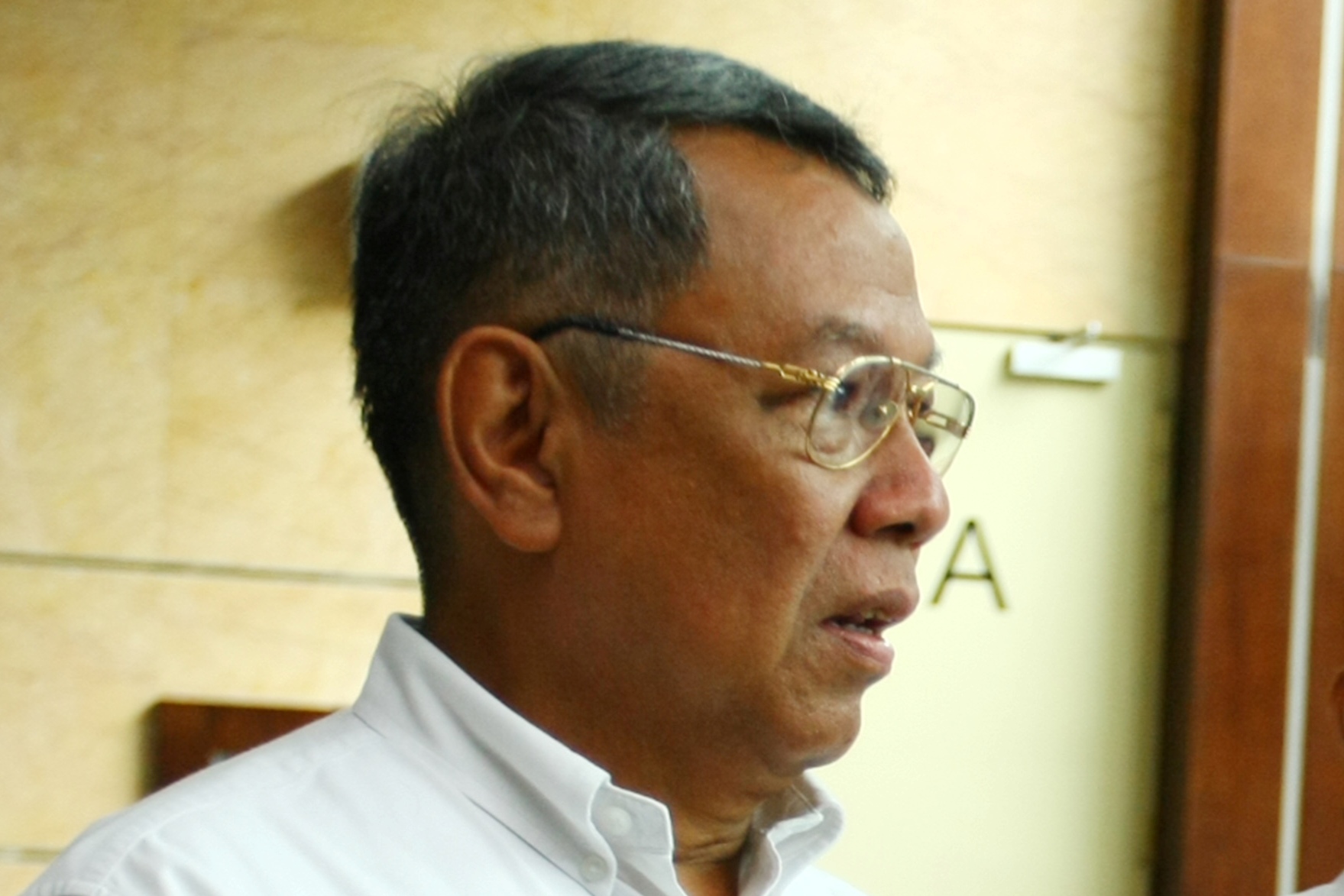 Wali Kota Tangerang Selatan, Benyamin Davnie