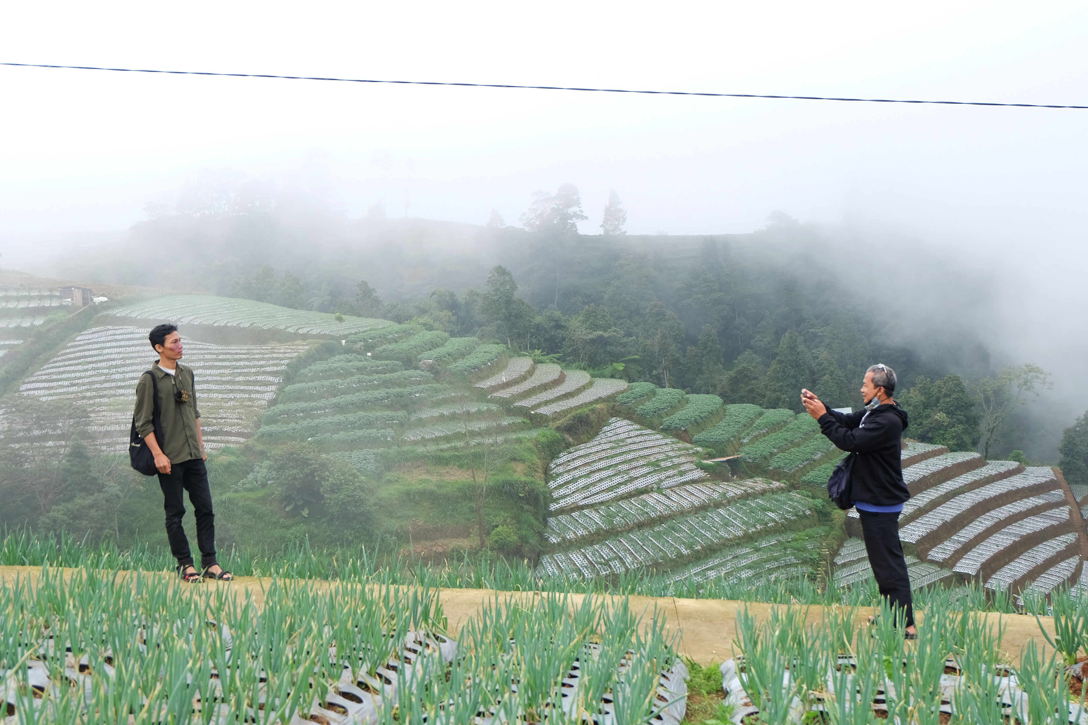 Perluasan Akses Pasar Hasil Pertanian Tingkatkan Kesejahteraan Petani 