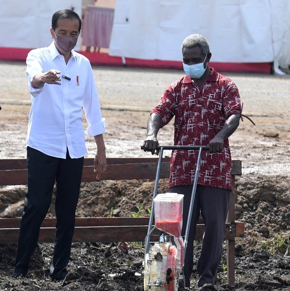 Presiden Yakin Anak Muda Papua Bisa Jadi Petani Milenial dan Entrepreneur Dunia