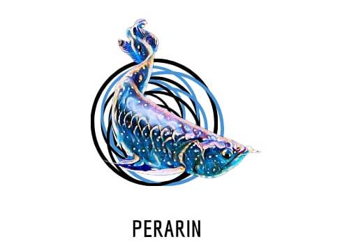 Logo Perhimpunan Arwana Indonesia (Perarin)