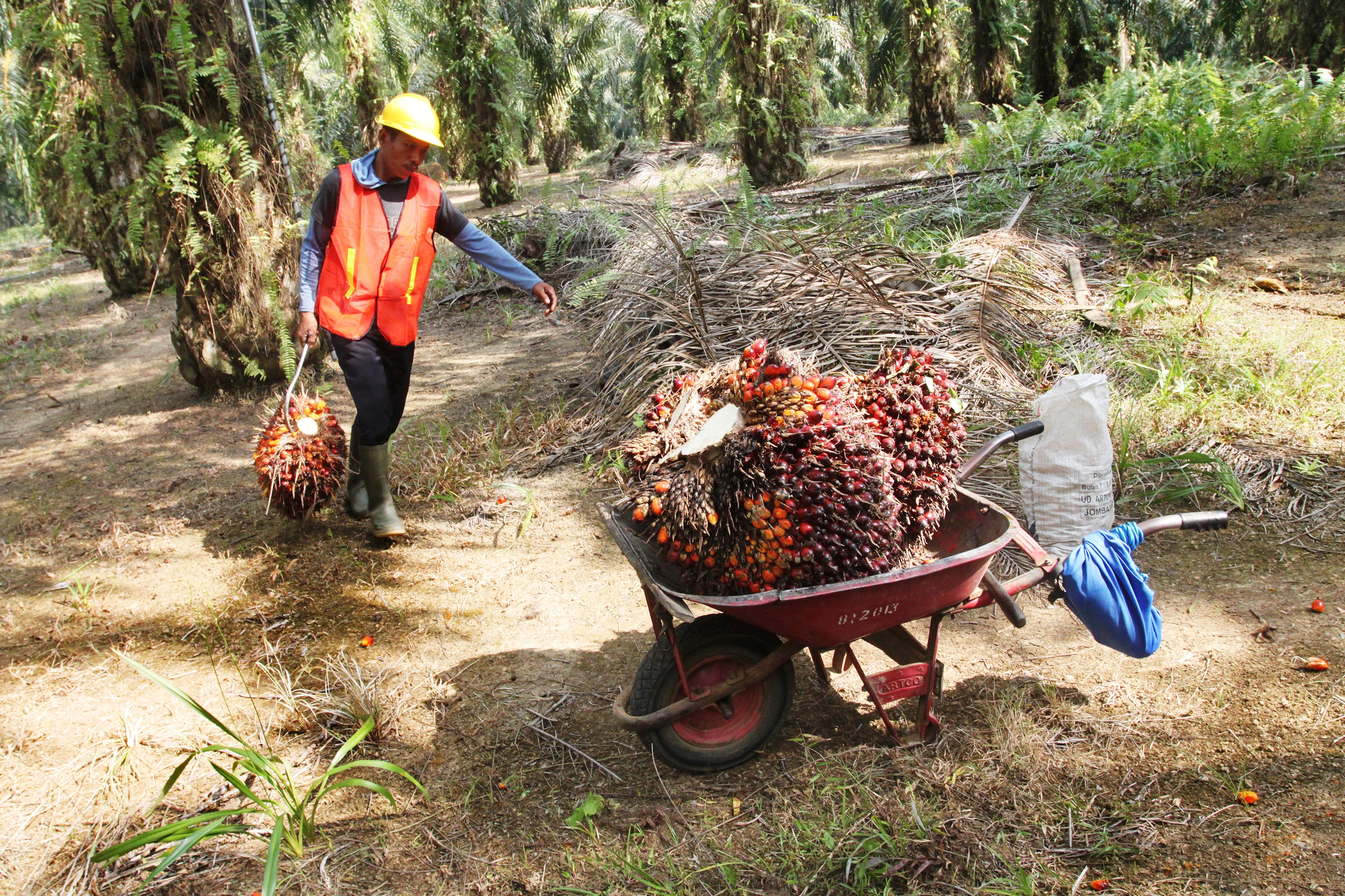Warga Seruyan Sampaikan Aspirasi ke DPR RI Terkait Plasma Sawit