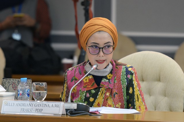 Anggota Komisi VIII DPR RI Selly Andriany Gantina.